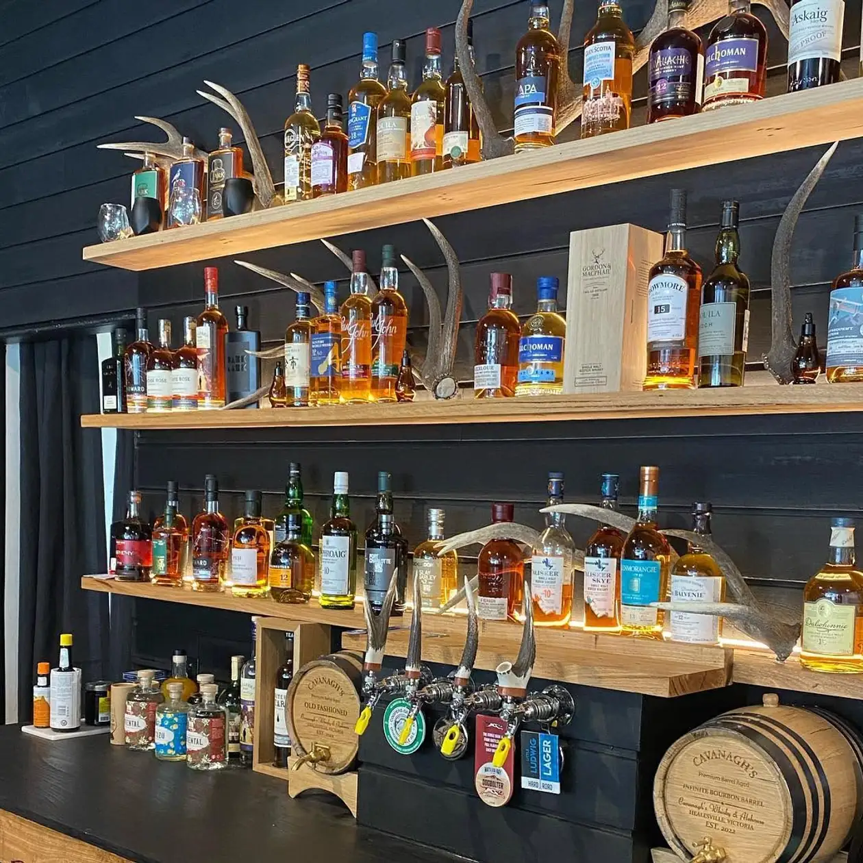 Backlit bar shelving stocked with bottles
