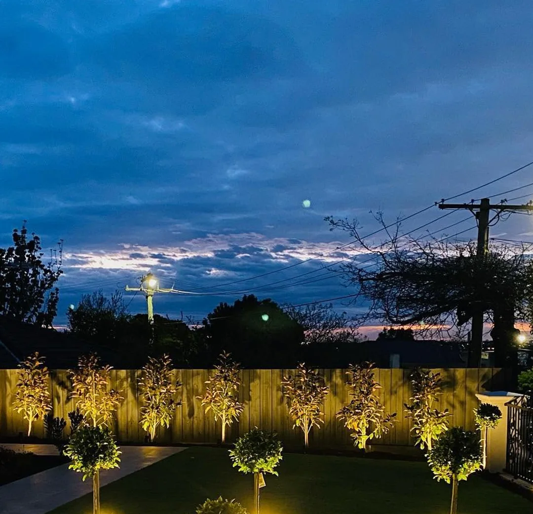 Garden lighting at dusk