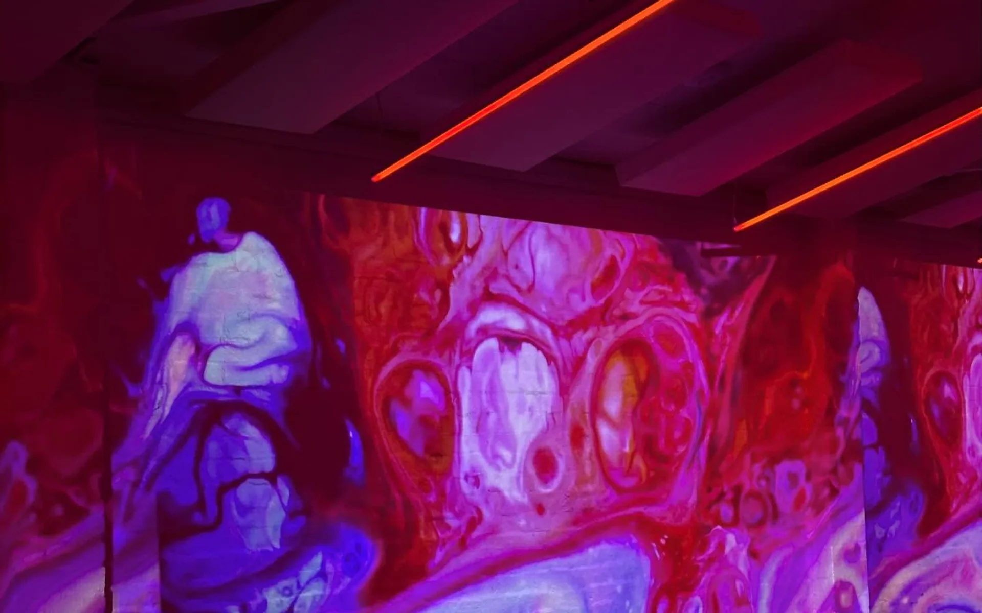 Feature and strip lighting installed across a studio interior